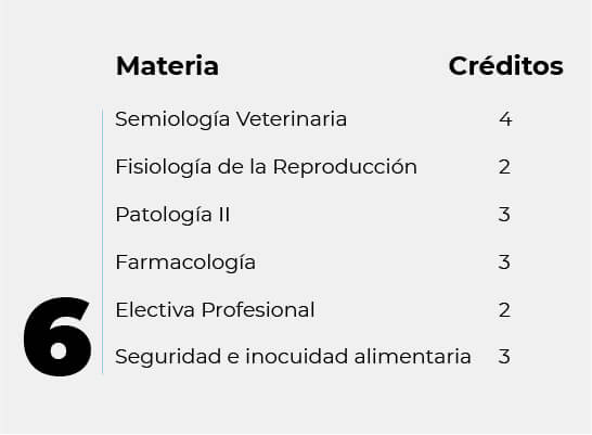 Pensum_MV6-100