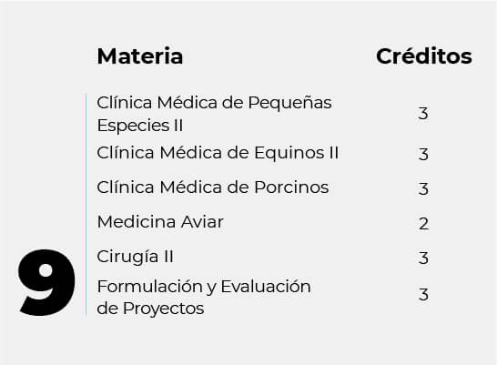 Pensum_MV9-100