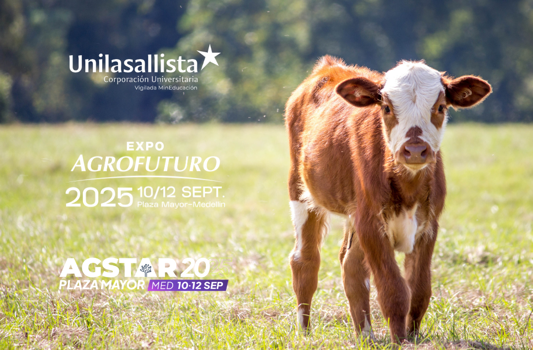 Diseno sin titulo 12