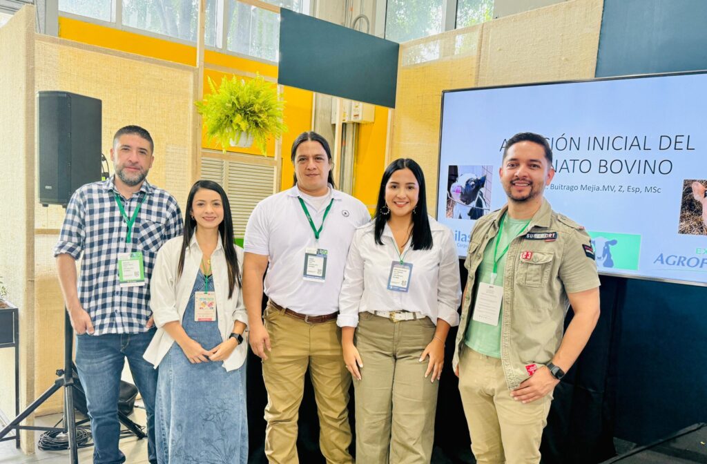 f585c00a b0bd 4e83 8988 944de3767e75 1 scaled e1758232508523