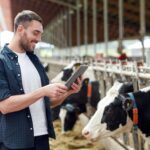 Gestión administrativa del sector agropecuario 1 agriculture industry farming people technology animal husbandry concept young man farmer with tablet pc computer cows cowshed dairy farm 2