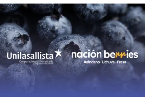 Sin titulo 1