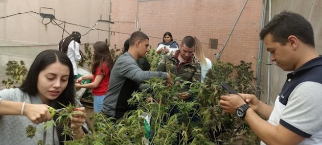 Semilleros de investigación. 9 548544